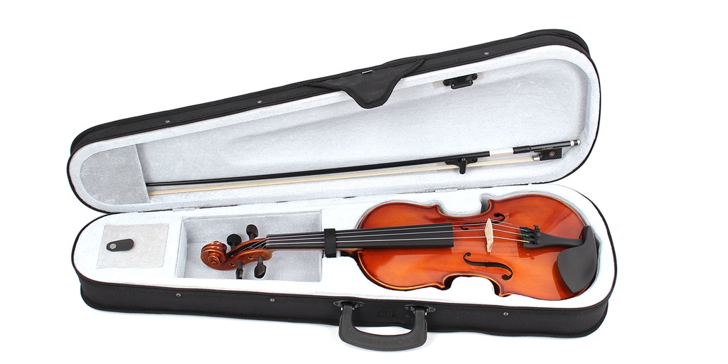 Quality Violin Outfit